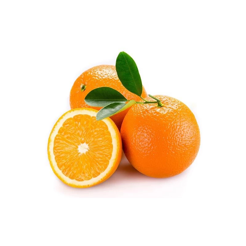 Citrus Arancio s plodmi- výška 150/160cm