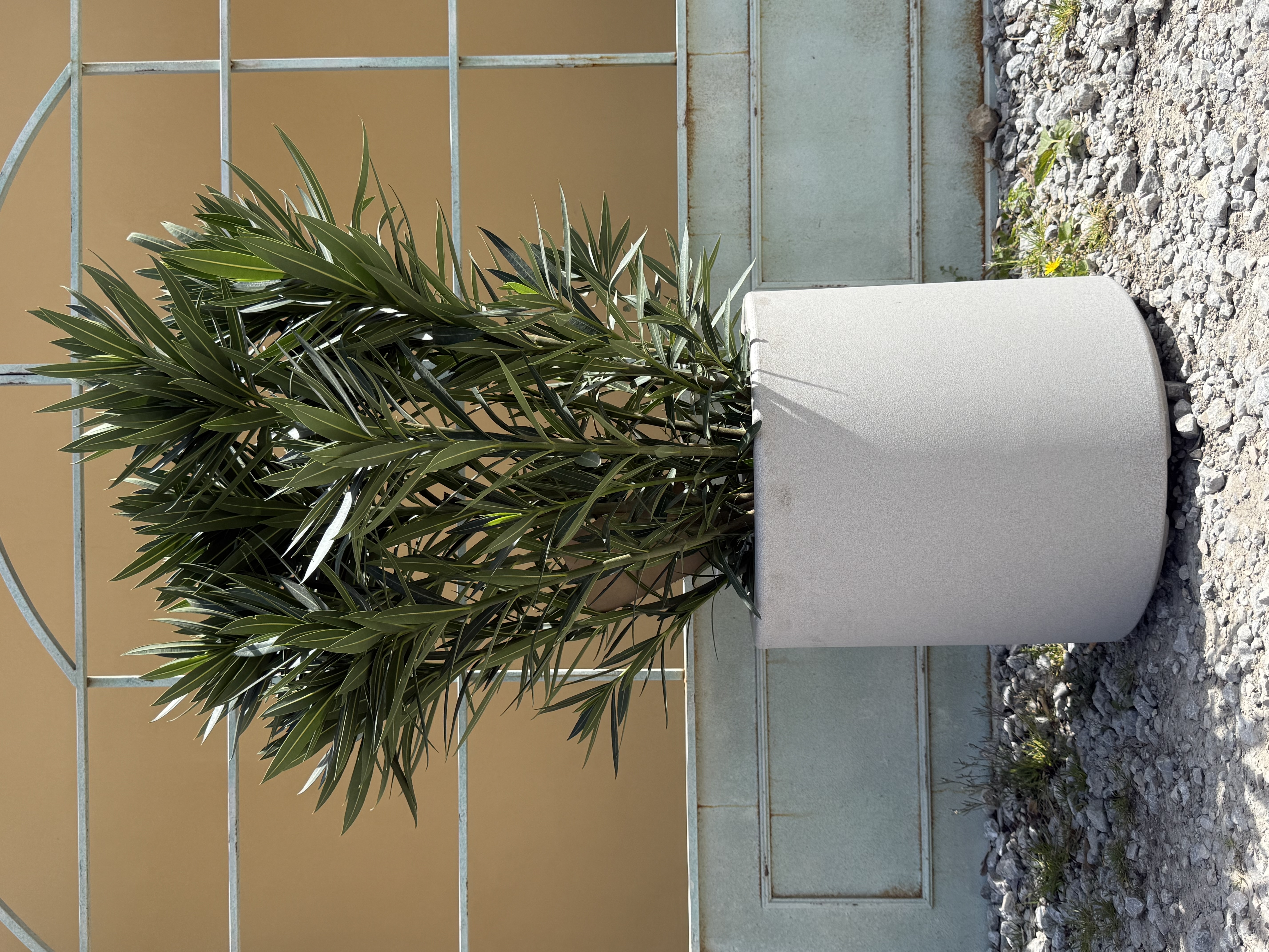 Kvetináč Cilindro šírka 42cm, výška 40cm