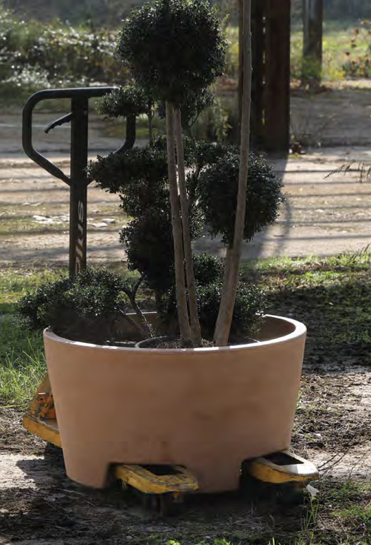 Kvetináč Ercolino Ercole - 80 cm šírka