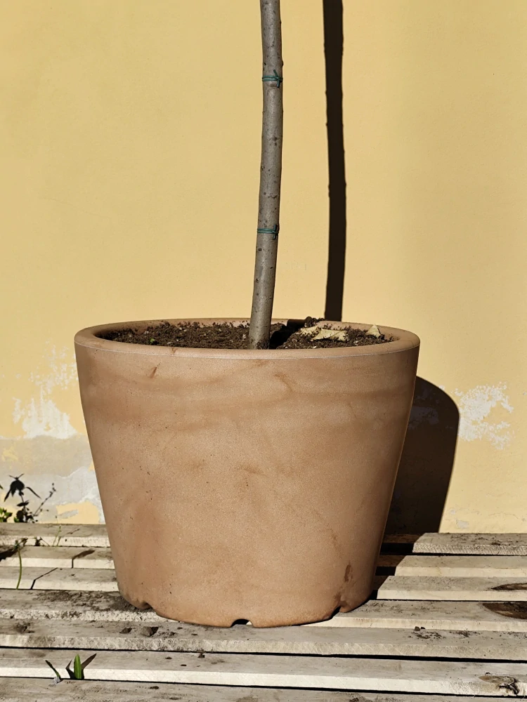 Kvetináč Ercolino Hercules 100 cm, šírka rôzne farby