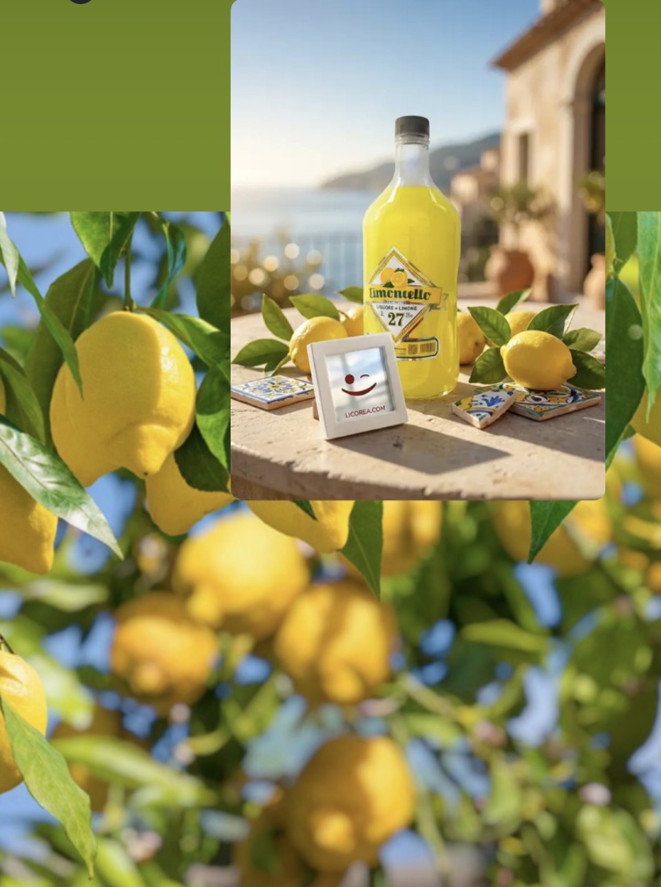 Citrónovník amalfský - Limone Amalfitano výška 80-90cm