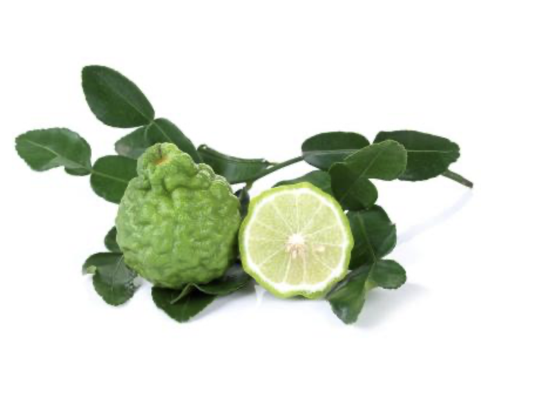 Citrus Hystrix Combawa, výška s kvetináčom 65-75cm, šírka kvetináča 20cm
