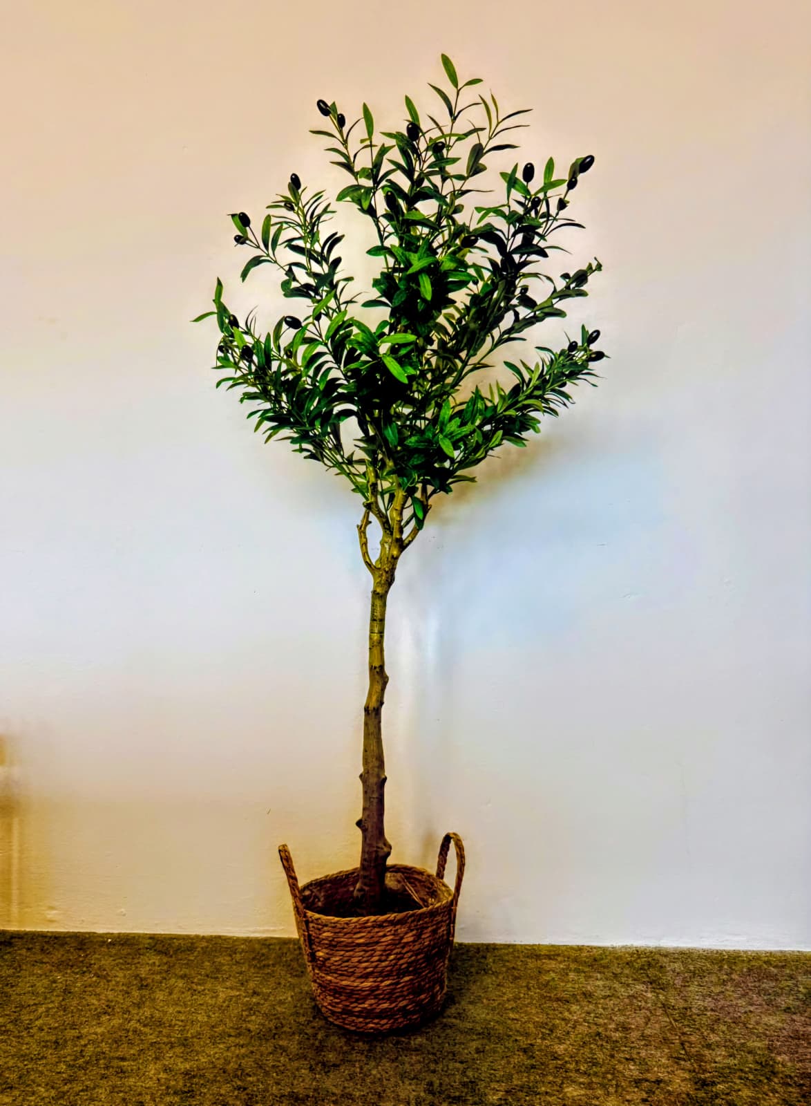 Olivovník európsky - výška 150cm - umelá rastlina