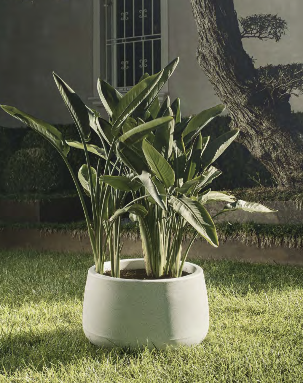 Kvetináč Titano - 80 cm šírka, rôzne farby