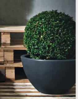 Kvetináč Caspo bowl šírka hore 45 cm, dole 20 cm, farba antracit