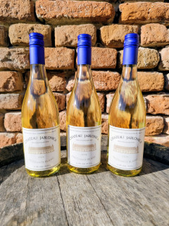 Frizzante Blanc, 2024 polosuché, 0,75L
