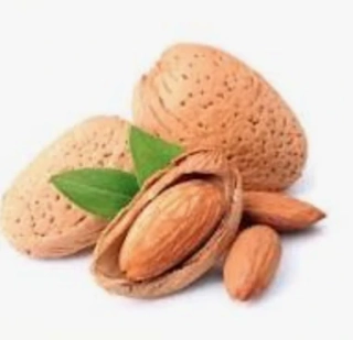 Jarná akcia - Mandľovník odroda Supernova, výška cirka 160cm aj s kvetináčom