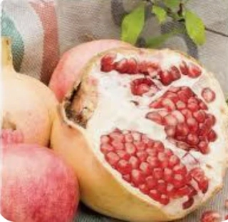 Granátovník (Granátové jablko) výška cca 140cm s kvetináčom VIAC ODRÔD NA VÝBER